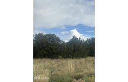 7 County Road 5082, Concho, AZ 85924