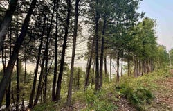 N Lake Leelanau Drive, Lake Leelanau, MI 49653