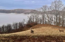 Lakeview Heights, Horner, WV 26372