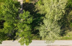 300 1st St, Pacific Junction, IA 51561