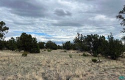 100 Squaw Pass, Quemado, NM 87829