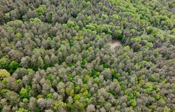 L14 E Hill Rd, Franklinville, NY 14737