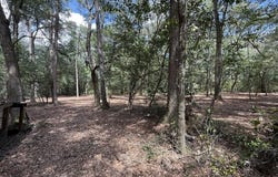 1954 Maddox Rd, Ochlocknee, GA 31779