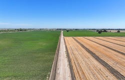 Lacey Boulevard, Lemoore, CA 93245