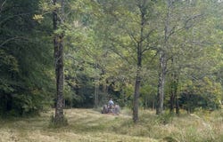 Hwy 1545, LOUIN, MS 39756
