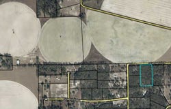 NE 811th St, Old Town, FL 32680