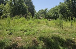 307 Washington, Linden, TX 75563