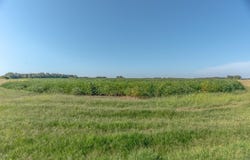 CR 244, Wynne, AR 72396