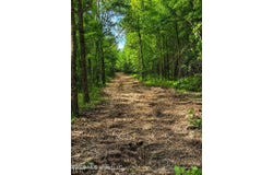 County Rd 550, Minter City, MS 38944