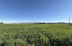 Loma, CO 81524