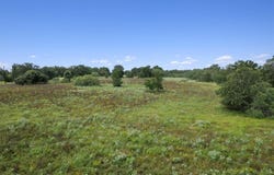 Josie Ln, Bastrop, TX 78602