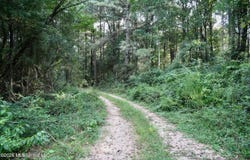 County Road 16, Louin, MS 39338