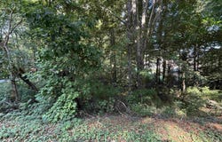 Creek Path/Browns Valley Rd lot: 38, Guntersville, AL 35976
