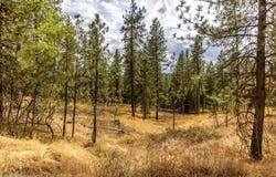 N Vista Cir, Colbert, WA 99005