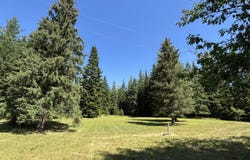 118 Walsh Way, Sandpoint, ID 83864
