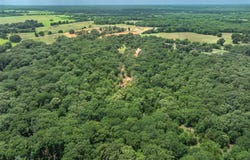 Tx-19, Edgewood, TX 75117