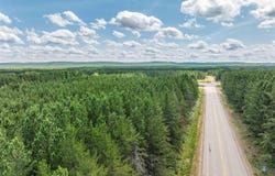 Tract B Hwy 21, Babbitt, MN 55706