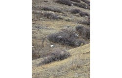 Beverly Dr, Berthoud, CO 80513