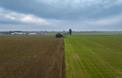 Elder Avenue, Hanford, CA 93230