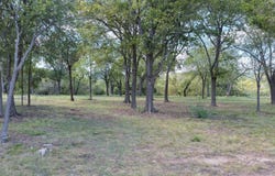 264 RIVERFRONT DR, New Braunfels, TX 78132