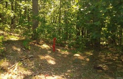 169 Brooke Ln, Bee Branch, AR 72013