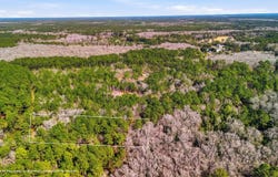Gertie Lane, Cordesville, SC 29434
