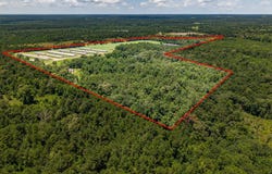 6080 CR 203, San Augustine, TX 75972