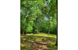 Nella Road, Waldron, AR 72958