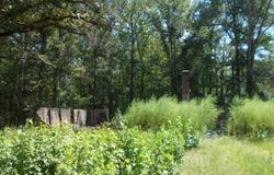 11 Carsey Lane, Monticello, MS 39654