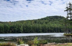 284 Pumpkin Hollow Rd., Wells, NY 12190