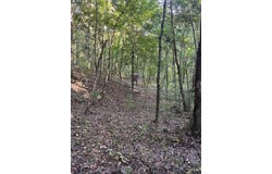 OLD FEDERAL Road, QUINCY, FL 32351