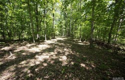 Tract 3 BCR 930, Patton, MO 63662