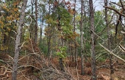 Parcel L Tatanka Trail, Baldwin, MI 49304