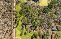 Carthage Bluff Rd, Springfield, LA 70462