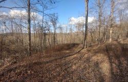 140 Brushy Creek rd, Mountain View, AR 72560