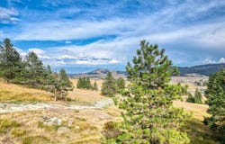 637 Vonderheide Lane, Kalispell, MT 59901
