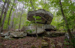 Brimer Lane, Higden, AR 72067