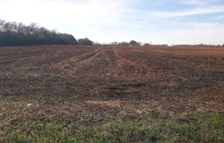 CR 1, Daleville, AL 36303