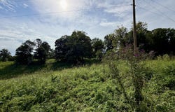 6 Hackberry Ln, New Hope, KY 40052
