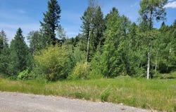 L58B4 CUTTHROAT RUN, Irwin, ID 83428