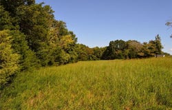 Tract D Hanging Rock Forest Road, Danbury, NC 27016