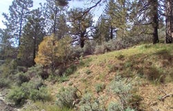 16401 Jungfrau Way, Tehachapi, CA