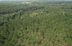 Laramore Rd, Marianna, FL 32448