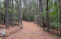 NC 3920 Road, Marble Falls, AR 72648