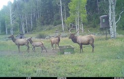 TBD Atchee Ridge Road, Rangely, CO 81648