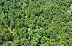 County Road 434, Birch Tree, MO 65438