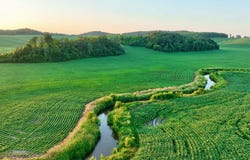 HWY 121, Osseo, WI 54758