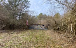 Co. Rd. 9, Eldridge, AL 35554