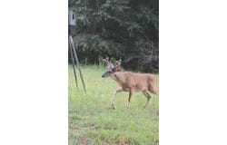 1 County road 67, Skipperville, AL 36374