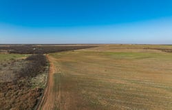 CR 262, McCaulley, TX 79534